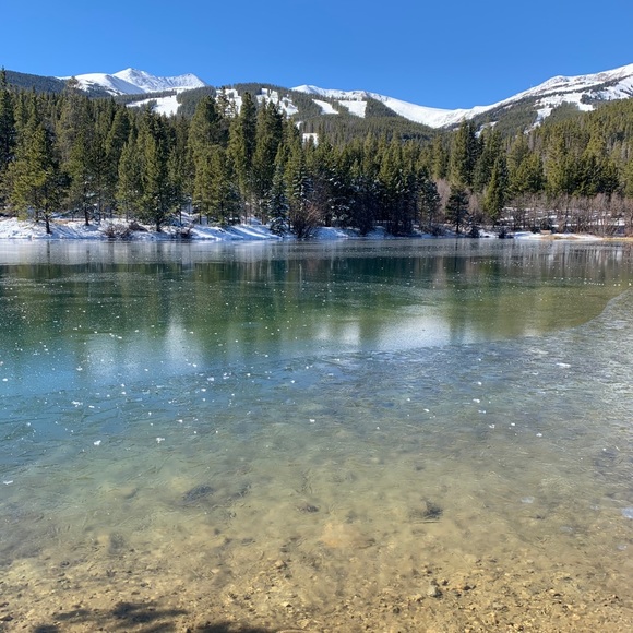 Meet your Posher, Maria - Picture 1 of 1